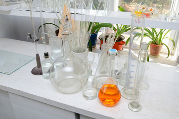 Test tubes and flasks in the chemical laboratory