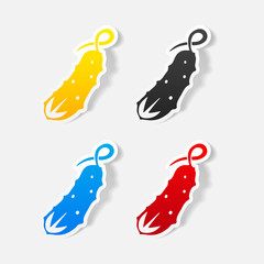 realistic design element: cucumber