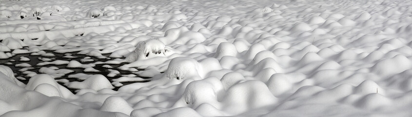 Alpine is the climate