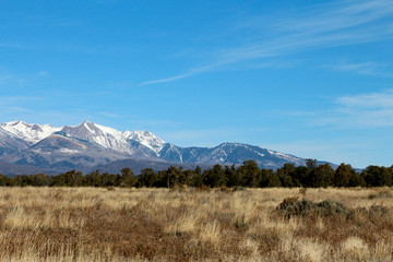 Brown Prairie and Snow Capped Mountain