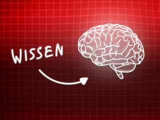 Wissen brain background knowledge science blackboard red