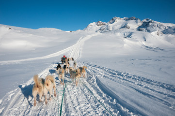 Excursion en traîneau à chiens à Tasiilaq, Groenland