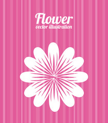 floral design