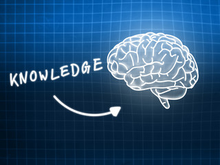 knowledge brain background knowledge science blackboard blue