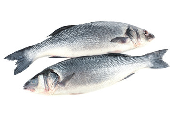 Fresh seabass fish isolated on white