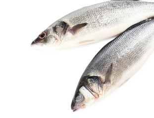 Fresh seabass fish isolated on white