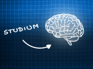 Studium brain background knowledge science blackboard blue