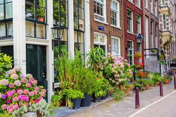 Fototapeta na wymiar Beautiful house in Amsterdam