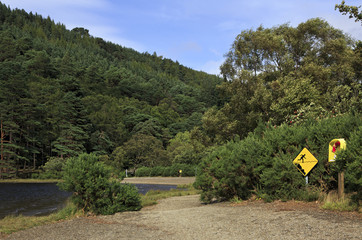 Fototapeta premium Lifebuoy and warning sign on the lake.