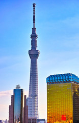 Obraz premium 東京スカイツリー