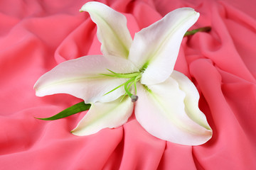 Obraz na płótnie Canvas Beautiful lily on fabric background
