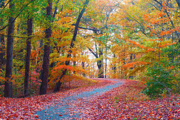 Trees in colorful foliage along a park pathway.