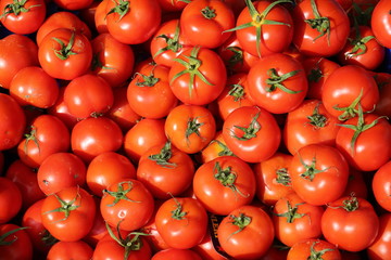 Amazing Fresh Red Tomatoes.
