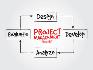 Project management process diagram for presentations and reports