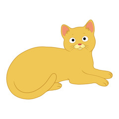 charming cat vector