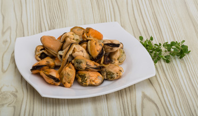 Mussels