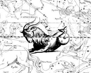 Vintage Illustration constellation Capricorn