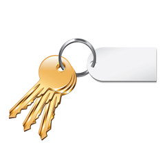 Keys with tag isolated on white vector