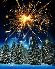 snow covered spruce trees and sparkler - christmas