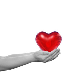 Obraz premium Human hand with heart