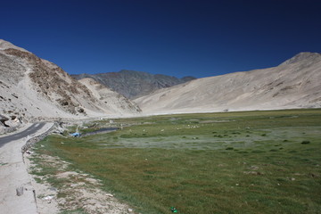 ladakh36
