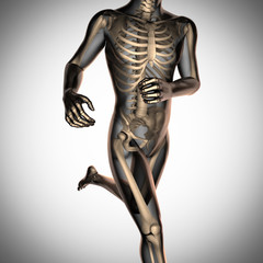Fototapeta na wymiar human radiography scan with bones