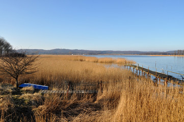  Boddenlandschaft Selliner See, Seedorf bei Sellin, Rügen