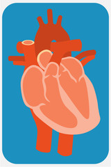 Human heart. Flat design style illustration.