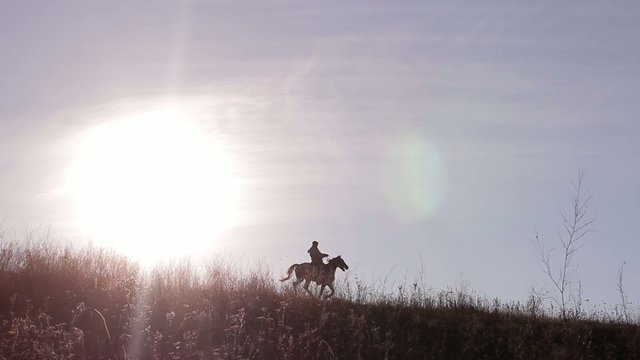 rider on horse on  beautiful background of sunset
