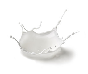 milk splash drop white liquid