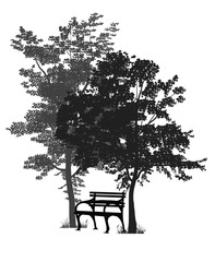 bench under the trees