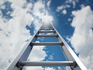 Ladder of success