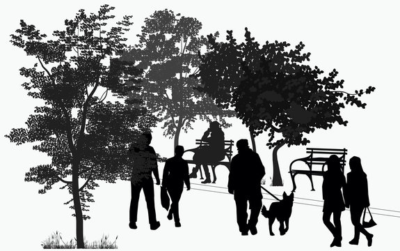 people walk in the park