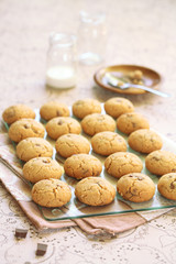 Peanut Butter Chocolate Chip Cookies