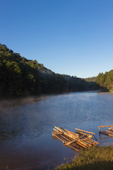 Obraz premium lake an forest