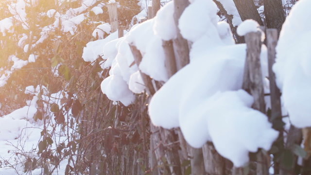 Wooden fence under snow