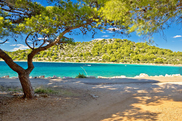 Turquoise pine tree beach of Croatia