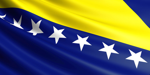 Bosnia and Herzegovina flag.