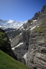 Fototapeta na wymiar Fiescherhorn mit Grindelwaldgletscher