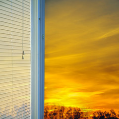 window blinds