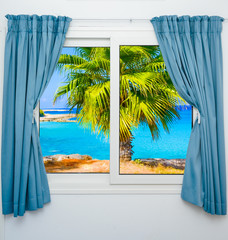 window view of the sea palm