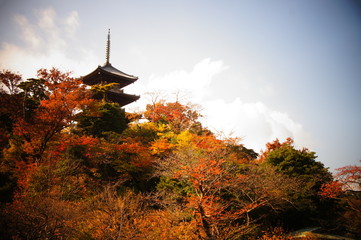 横浜、三渓園の三重塔と紅葉