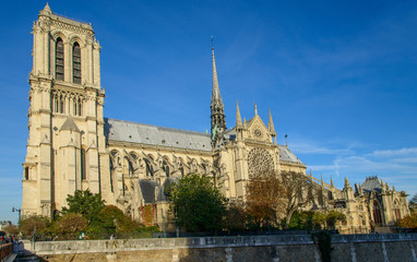 Notre dame de Paris