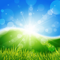 Obraz premium Meadow with sun and blue sky.