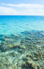Warm Coral Sea