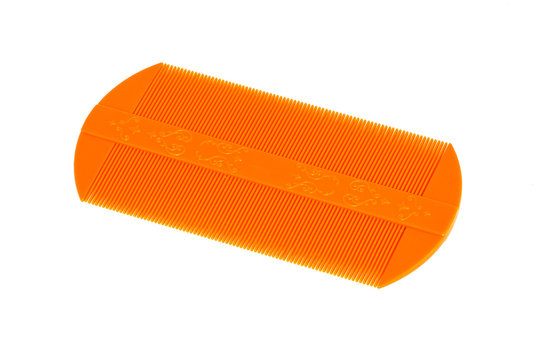 Lice comb isolated on a white background