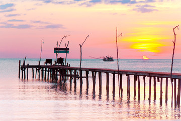 Fototapeta premium At the End of the Day Way to Sunset