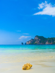 Beach Pearl Tropical Symbol