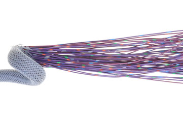 Violet electrical wires with cable shield