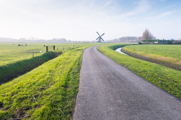 Fototapeta na wymiar Polder landscape with a curved country road